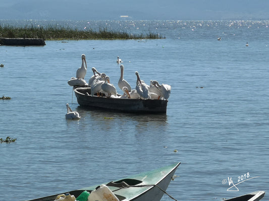 El lago de Chapala, Mexico